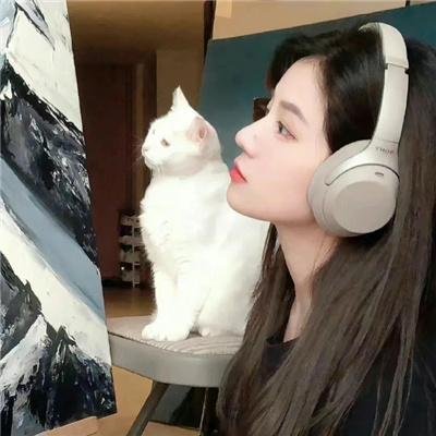 由南向北